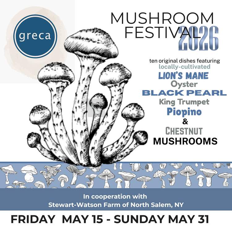 mushroom festival
