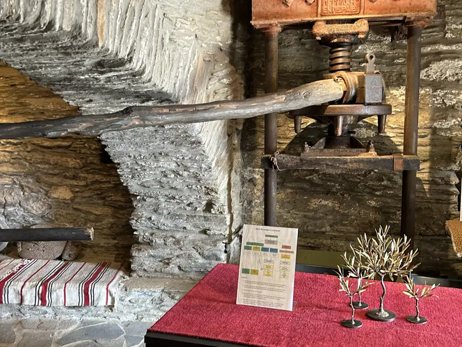 olive oil museum