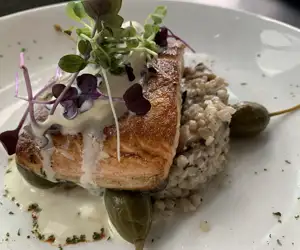 Faroe Island Salmon over trahana (sourdough pasta)