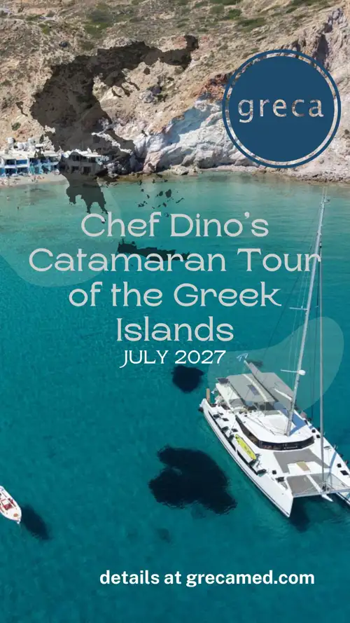 Chef Dino's Catamaran Tour to the Greek Islands